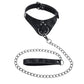 Sportsheets Velvet Noir Collar & Leash