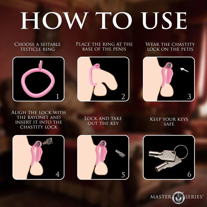 Master Series Pussification Vulva Chastity Cage
