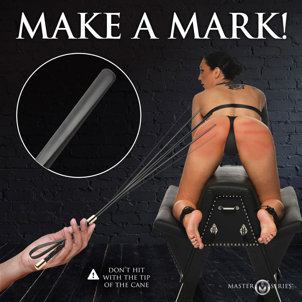 Master Series Sinful Impact Cane - Black Plastic Cane