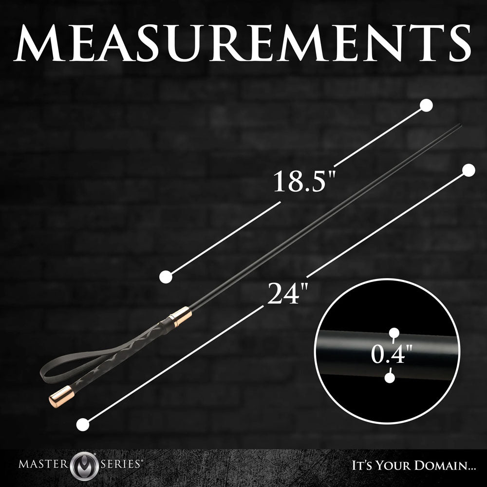 Master Series Sinful Impact Cane - Black Plastic Cane