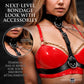 Master Series Vixen Female Chest Harness - Black