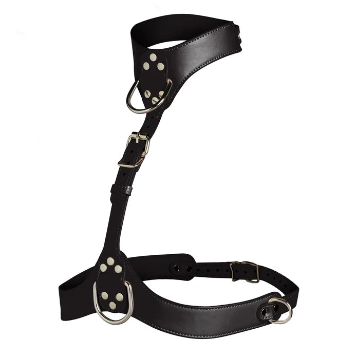 Master Series Vixen Female Chest Harness - Black