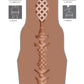 Fleshlight Girls Autumn Falls Cream Vagina Masturbator