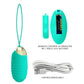 Party Up Ian Remote Control Vibrating Egg - Teal