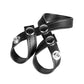 Electric EEL | Blue Line 8 Style Ball Divider