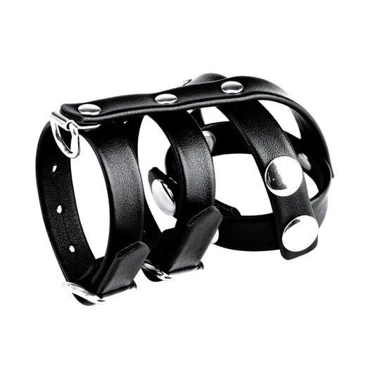 Electric EEL | Blue Line Double Cock And Ball Strap With Leash Lead