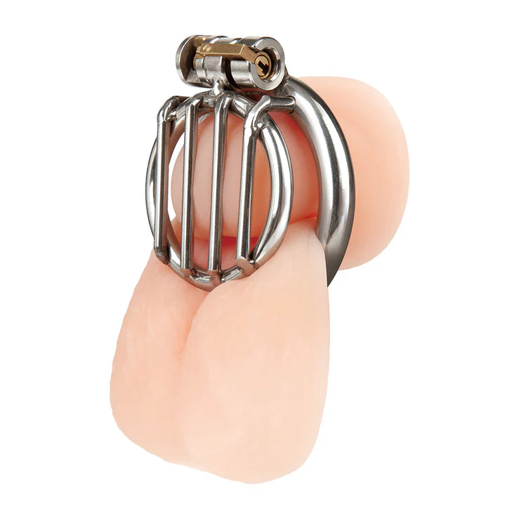 Electric EEL | Blue Line Stainless Steel Inverted Micro Jail Time Chastity Cage