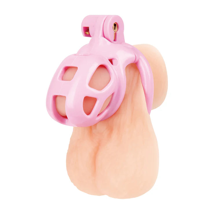 Electric EEL | Blue Line Small Pink Humiliation Acrylic Prisoner Cock Cage