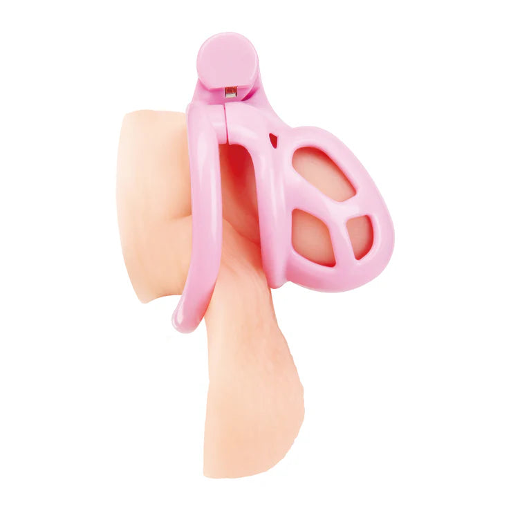Electric EEL | Blue Line Small Pink Humiliation Acrylic Prisoner Cock Cage