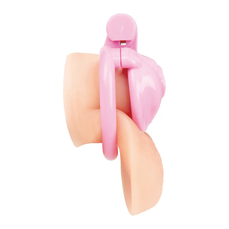 Electric EEL | Blue Line Bitchboy Degrading Mini Chastity Cage with Pussy Shape