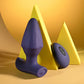Evolved STARBURST Vibrating Butt Plug with Wireless Remote