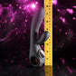 Evolved BLACK MAGIC Rabbit Vibrator with LED Screen