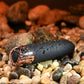 Gender X THE GOLD STANDARD Black/Rose Gold 10 cm USB Rechargeable Bullet Vibrator