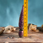 Gender X INTO THE DEEP Tentacle Fantasy Massage Wand
