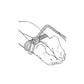 Adam & Eve Bondage Rope 4.5M