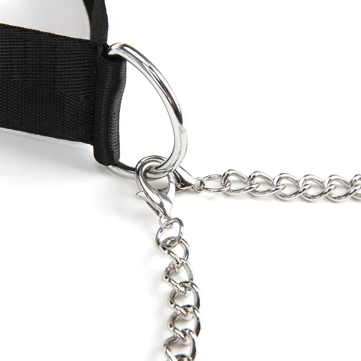Lux Fetish Collar And Nipple Clips + Blindfold