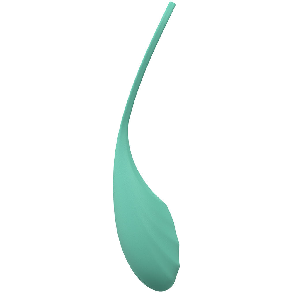 LOVELINE Passion - Green USB Rechargeable Vibrating Egg with Wireless Remote