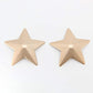 Love In Leather Star Shape Metal Pasties With Lustre Finish - MULTIPLE COLOURS