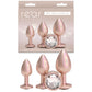 NS Novelties Rear Assets Trainer Kit - Iridescent Champagne Metallic Butt Plugs - Set of 3 Sizes