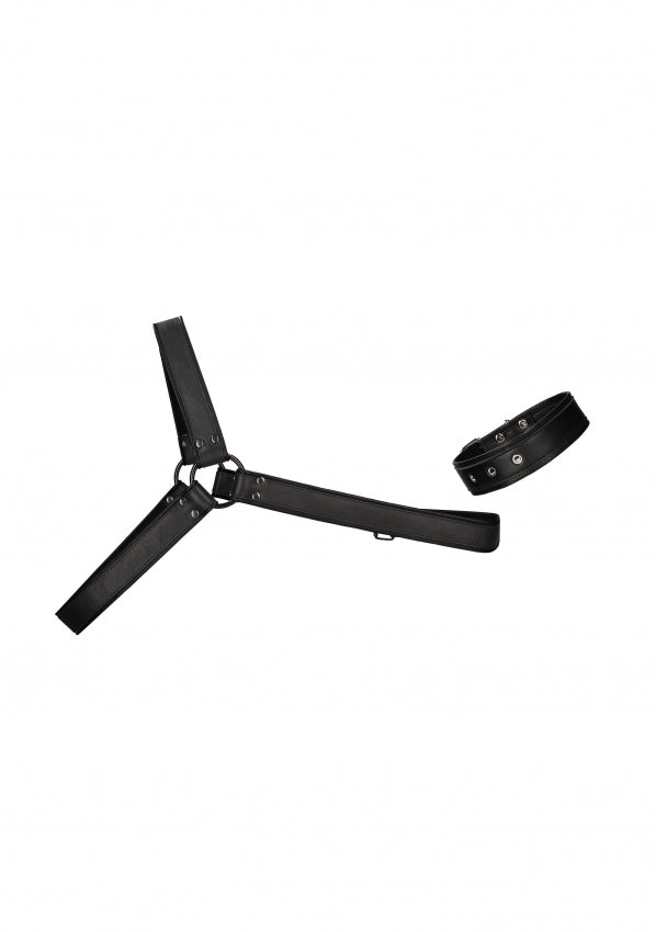 Shots Toys | OUCH! Gladiator Harness - One Size - Black