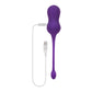 Playboy Pleasure DOUBLE TIME Purple USB Rechargeable Vibrating Kegel Balls