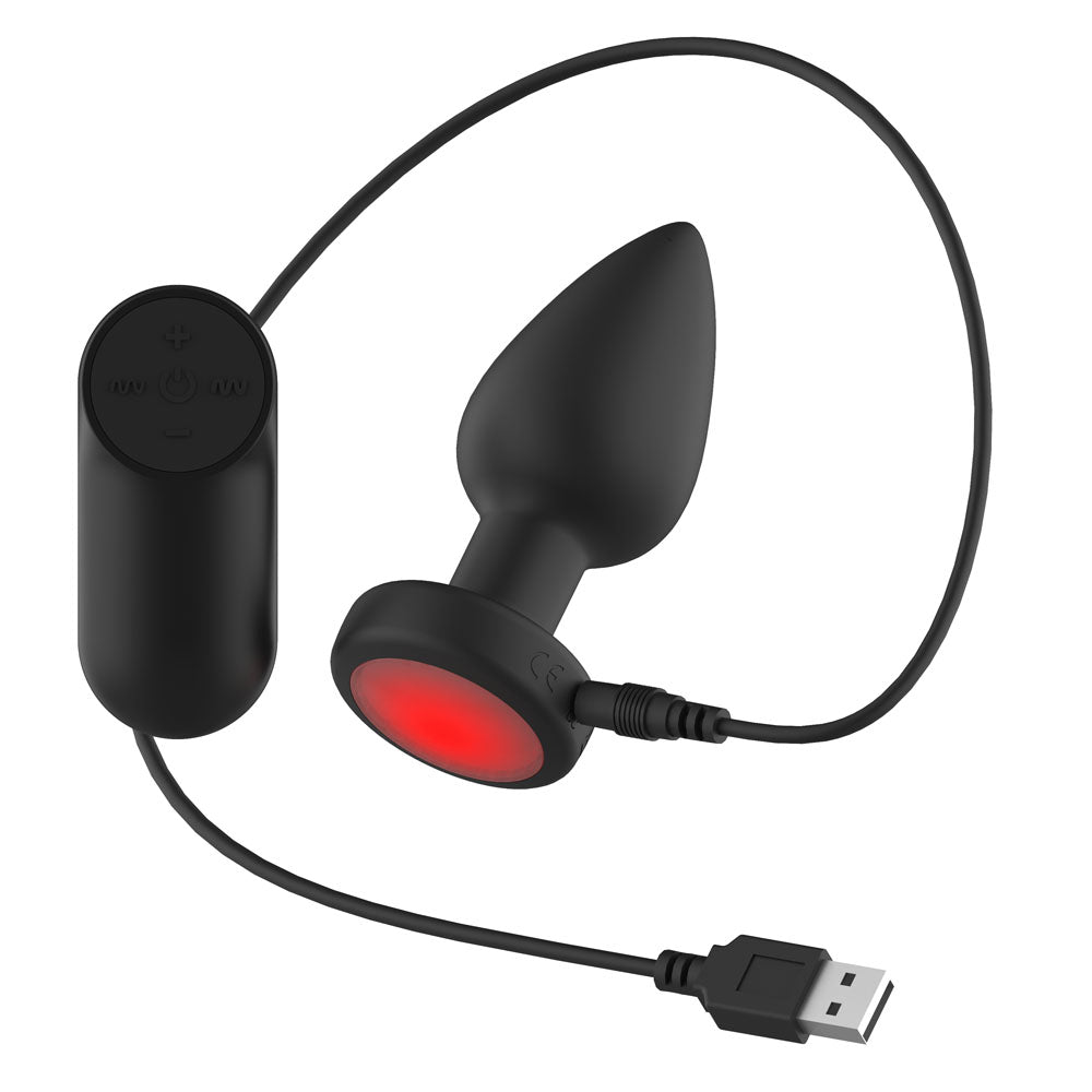 Passion Play Vibrating Butt Plug with LED Base and Wireless Remote - M
