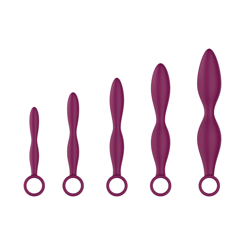 Passion Play Silicone Dilator Set - Set of 5 Sizes