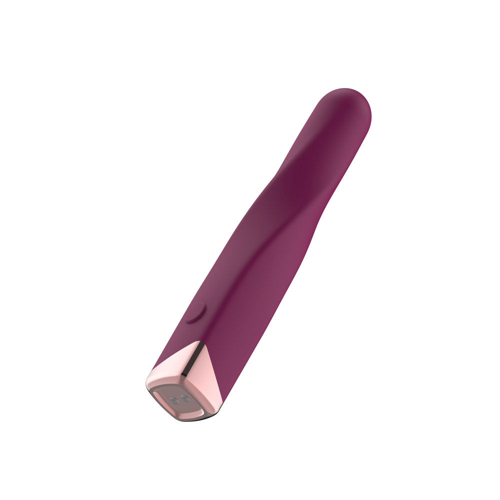Passion Play Rechargeable Vibrating Bullet - Purple