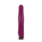 Passion Play Rechargeable Vibrating Bullet - Purple