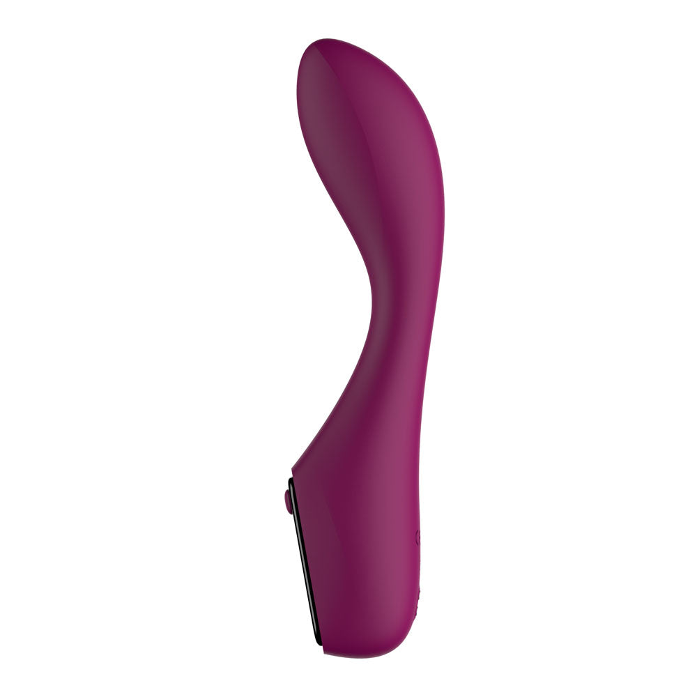 Passion Play G-Spot Vibrator with LED Screen - Purple