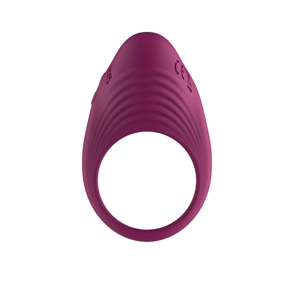 Passion Play Silicone Vibrating Cockring - Purple