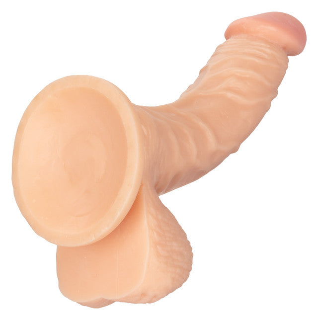 Calexotics | Working Stiff The Doctor Dildo Dong