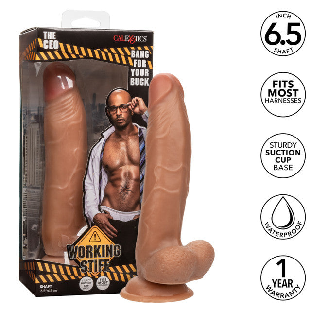 Calexotics | Working Stiff The CEO Dildo Dong