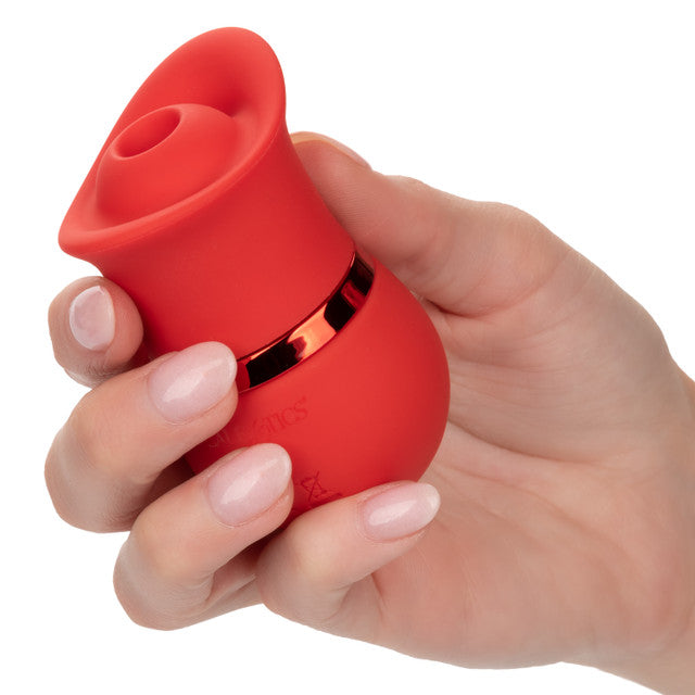 CalExotics French Kiss Suck & Play Interchangeable Set - Suction Vibrator and Triple Teaser