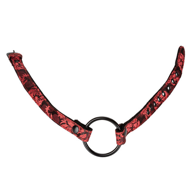 Calexotics Scandal Wide Open Mouth Gag