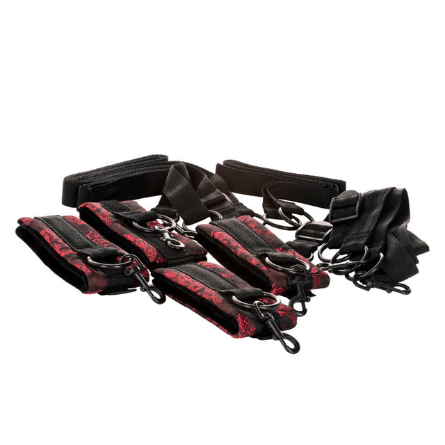 CalExotics Scandal Bed Restraints