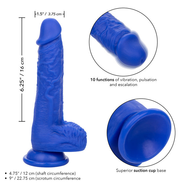 Calexotics Admiral 7" Vibrating Sailor Dildo