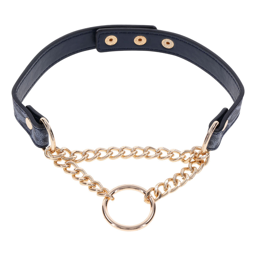 Sportsheets Sex & Mischief Cougar Day Collar