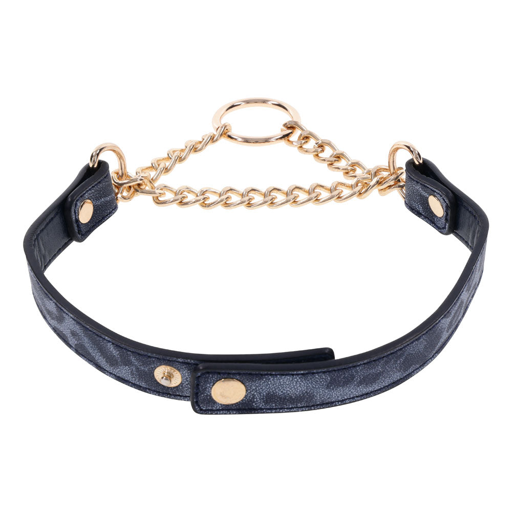 Sportsheets Sex & Mischief Cougar Day Collar