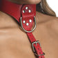 Strict Red Female Chest Harness Size S/M or M/L