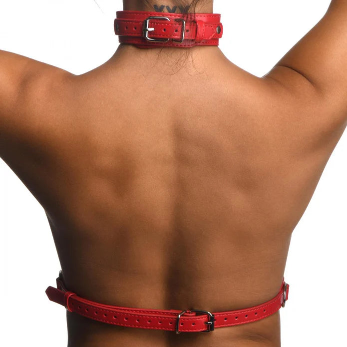 Strict Red Female Chest Harness Size S/M or M/L