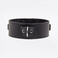 Love In Leather Faux Leather Collar With Faux Fur Lining