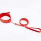 Love In Leather Faux Leather Collar With Faux Fur Lining
