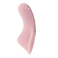 Camtoyz | Whisper Silent App Controlled Panty Vibrator