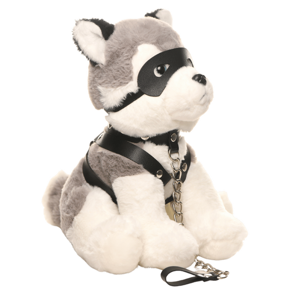 Master Series Max The Fetish Pup
