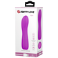 Pretty Love Adam Vibrator Purple