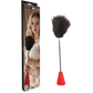 Chisa Noir Crop With Feathers (Red)