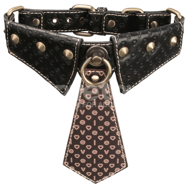 Lovetoy Rebellion Reign Collar & Leash