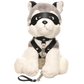 Master Series Max The Fetish Pup