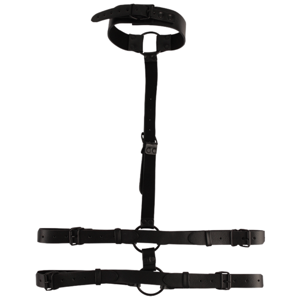 Chisa BEHAVE! Collar Body Restraint